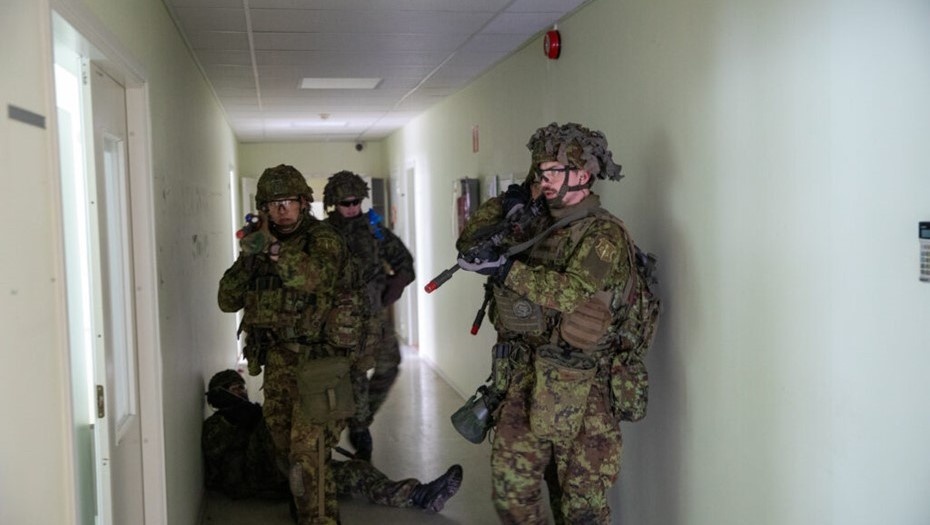    Автор фото: mil.ee