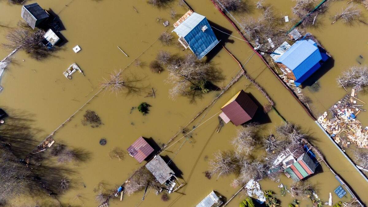    Фото: PhotoChur/Shutterstock/Fotodom