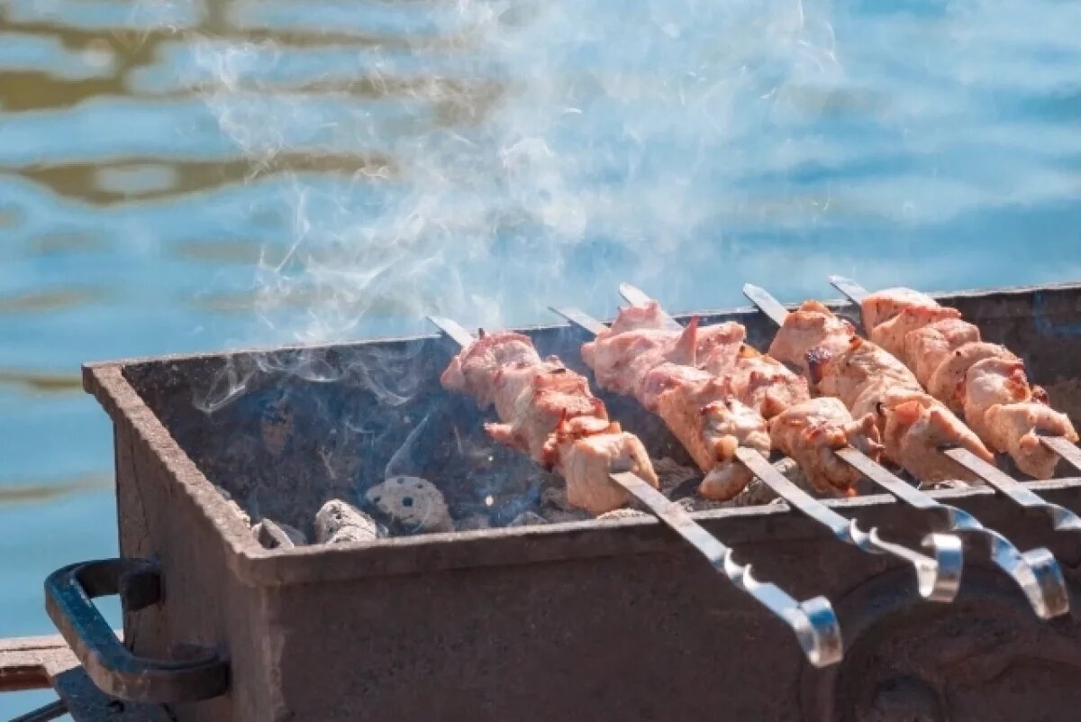    Существует множество способов приготовления вкусного шашлыка.