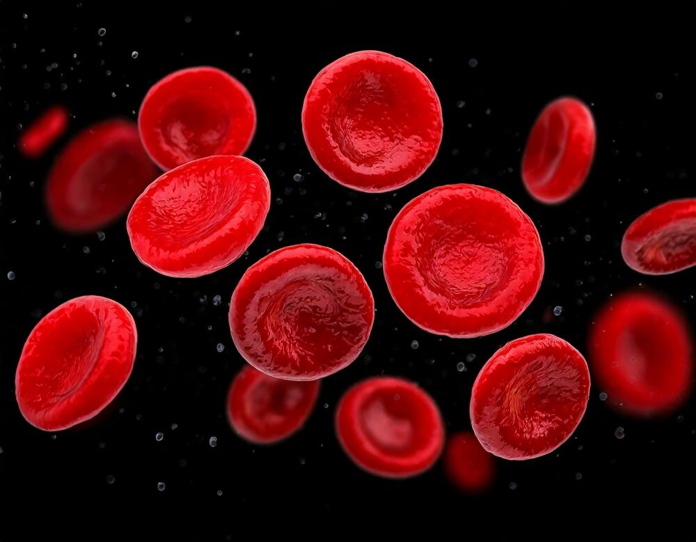 Кровяные клетки