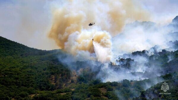    © ГУ МЧС России по Республике Крым