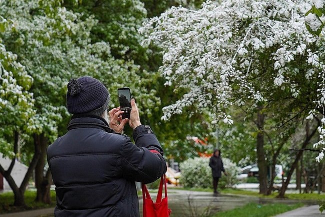    МЧС предупредило о заморозках до минус 6 градусов в Подмосковье 1–3 мая