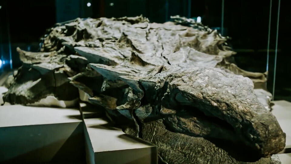 Фото: © Кадр из программы "Загадки человечества", РЕН ТВ