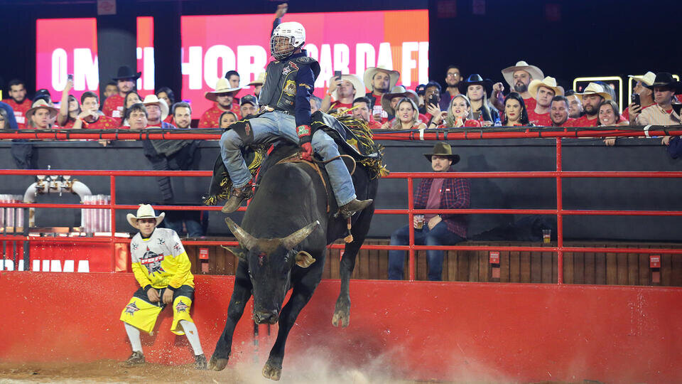 Фото: © www.globallookpress.com/Joel Silva/Keystone Press Agency