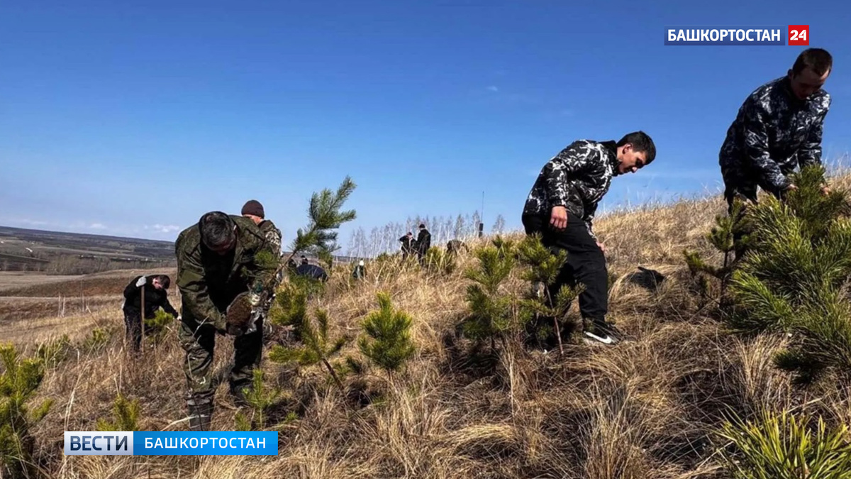    В Башкирии появился один из самых больших геоглифов в стране
