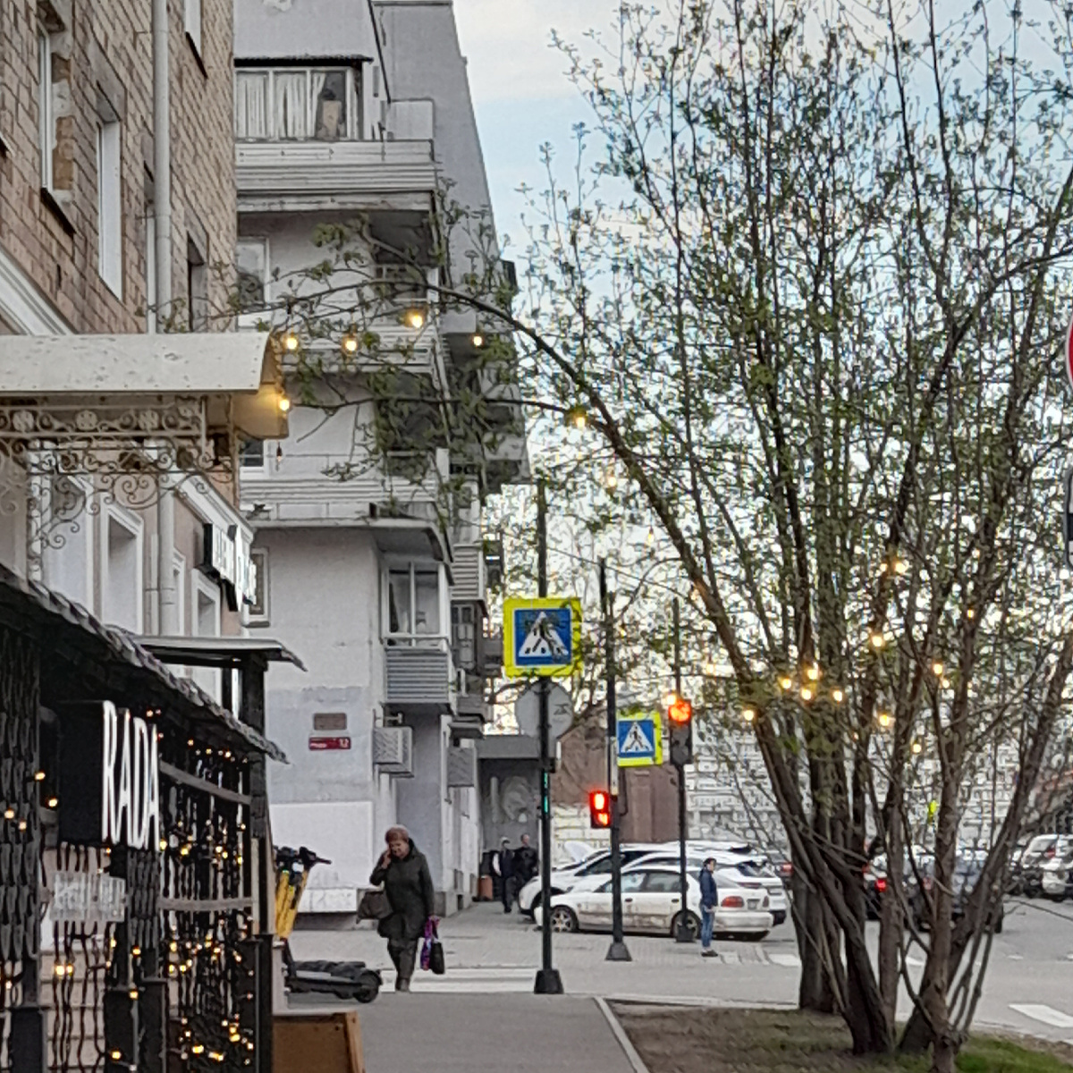 Фото автора. Кружево первой зелени