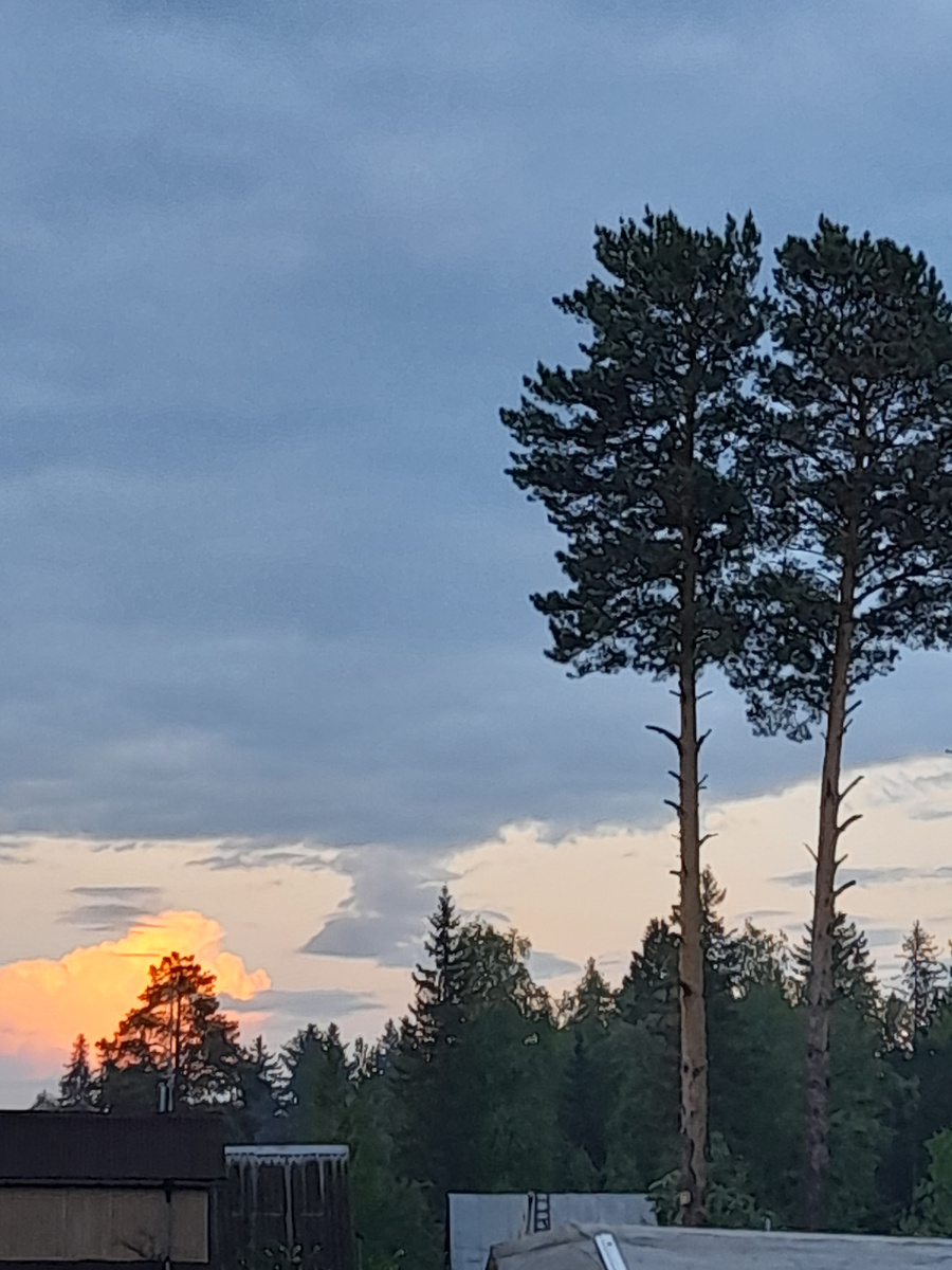 Фото автора.  Это пока интересно