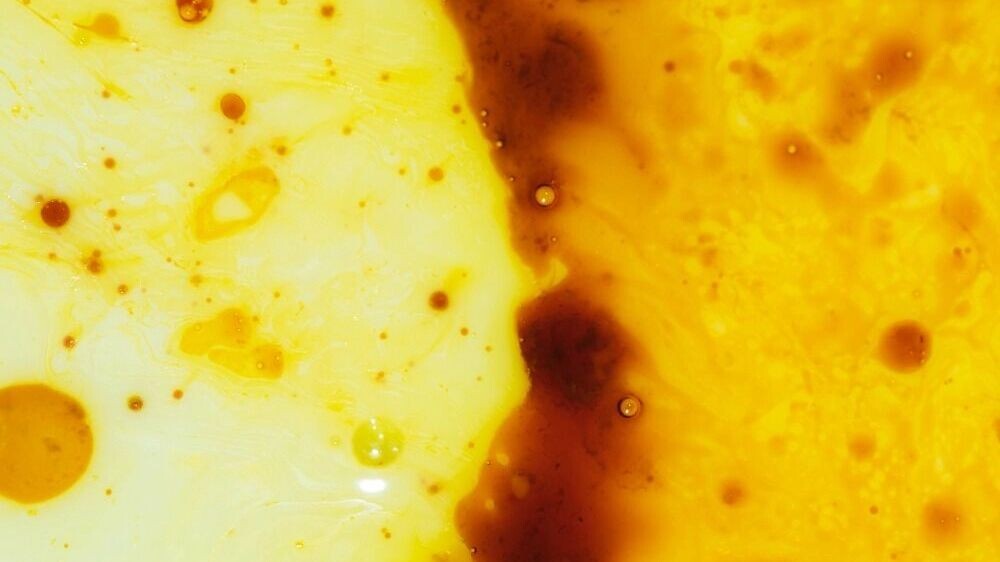     Автор: freepik.com