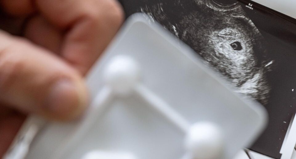    Hendrik Schmidt/dpa / www.globallookpress.com