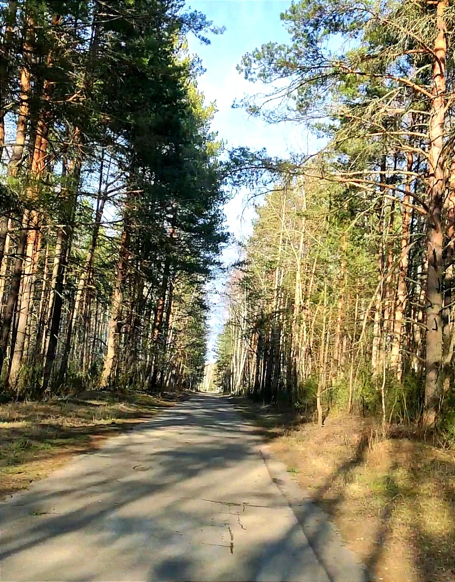 Дорога к дому.