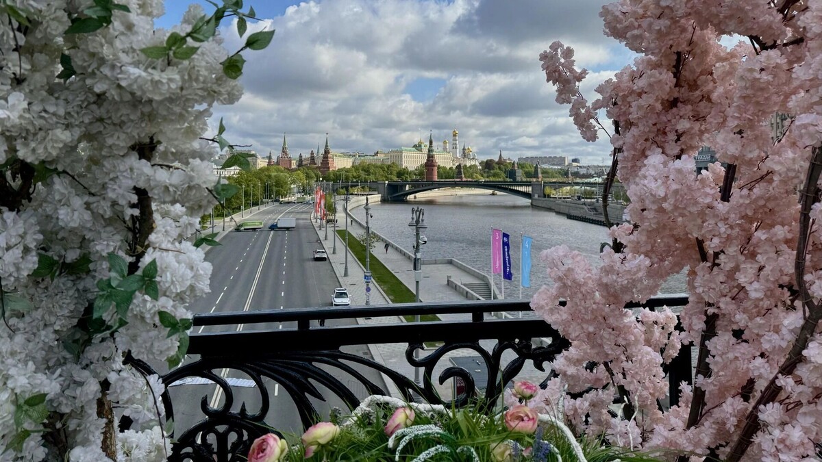     Автор: Яна Каменская Источник: bel.ru