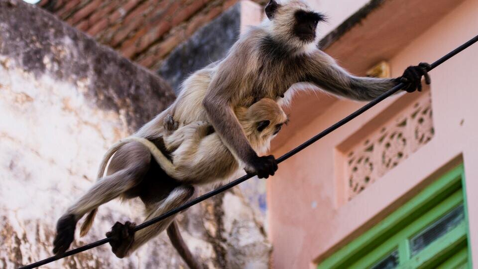 Фото: © www.globallookpress.com/Gilles Barbier/imageBROKER.com