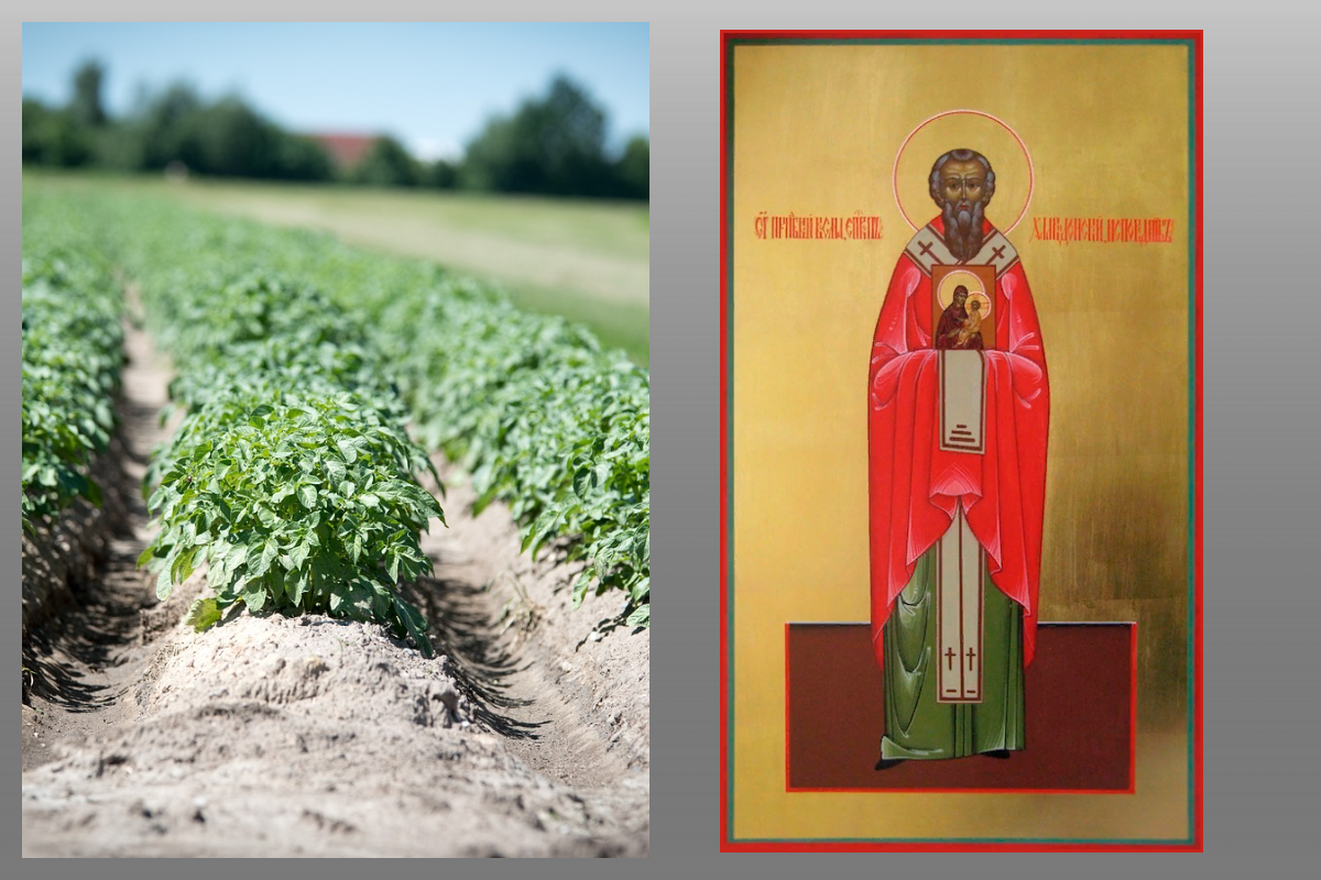 Икона святитель Косма Халкидонский/azbuka.ru, огород/pixabay.com