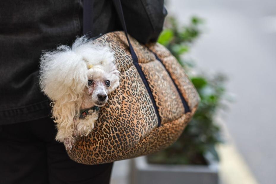    Алексей Белкин/NEWS.ru