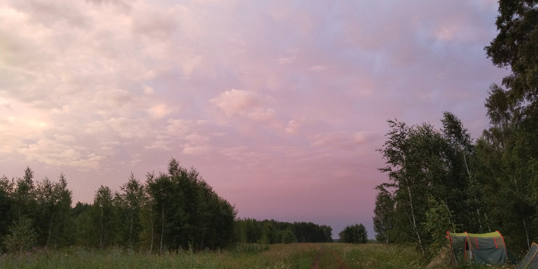 Почему археология в Германии — это работа, а в России — жизнь