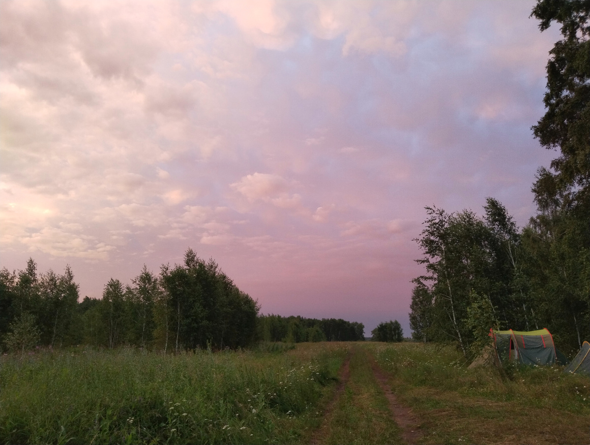Поле - это не локация. Это состояние. Фото Татьяны Горбуновой, 2024 год