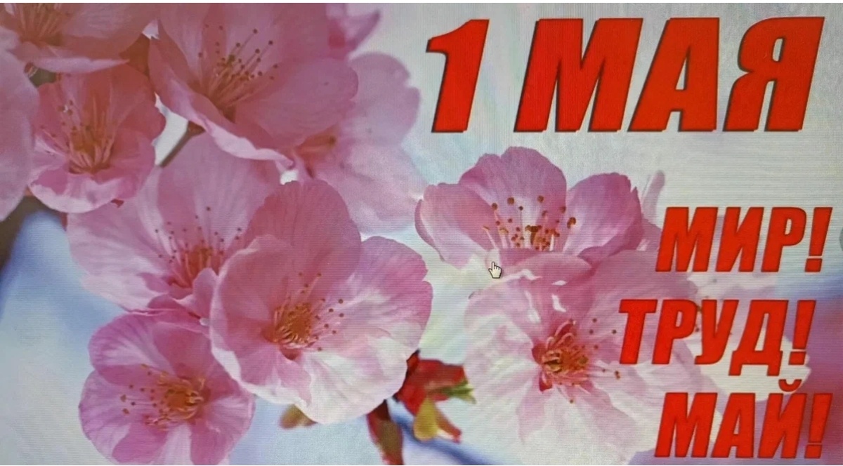 Фото с простор интернета 