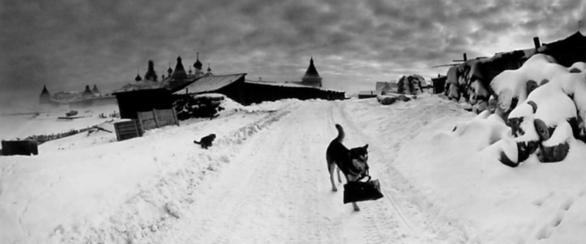 Россия, Соловки, Белое Море (dog with bag) 1992.