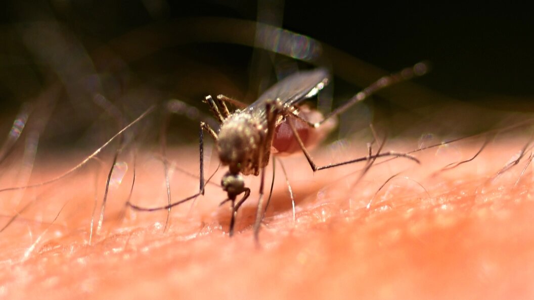    Dean Hanson/Albuquerque Journal/Globallookpress