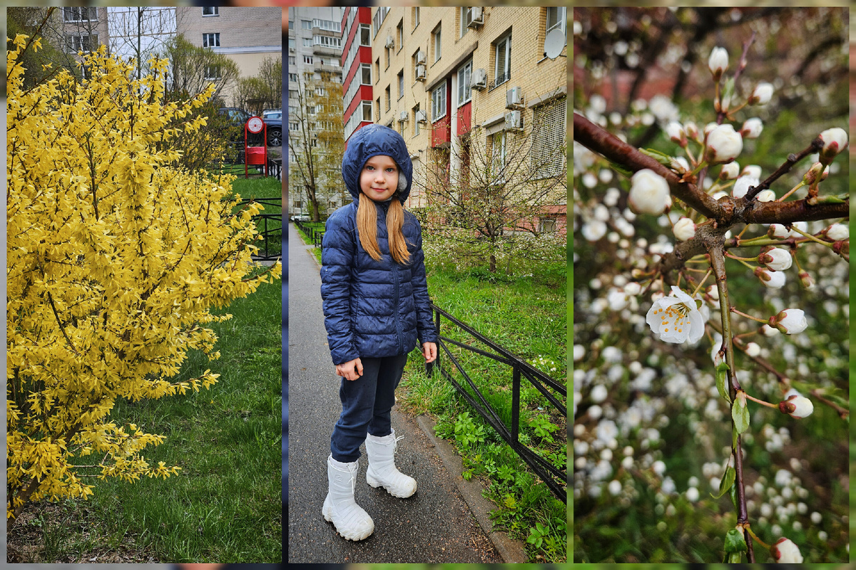 Весна в Петербурге 🌱
