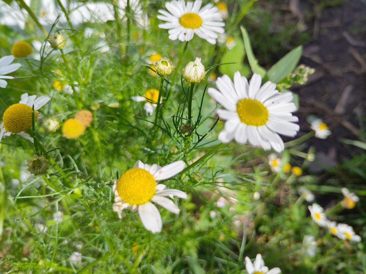 Фото автора.