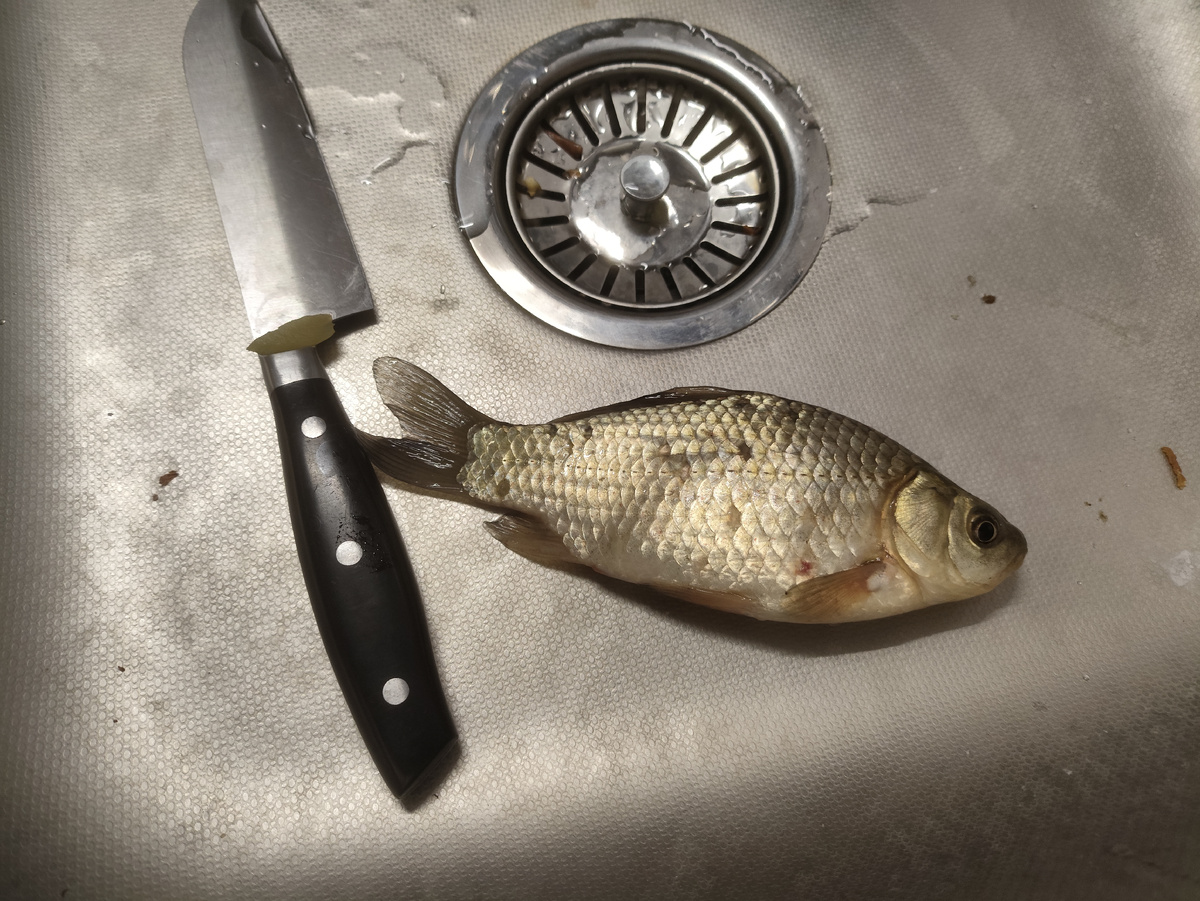 Неплохой золотой карасик