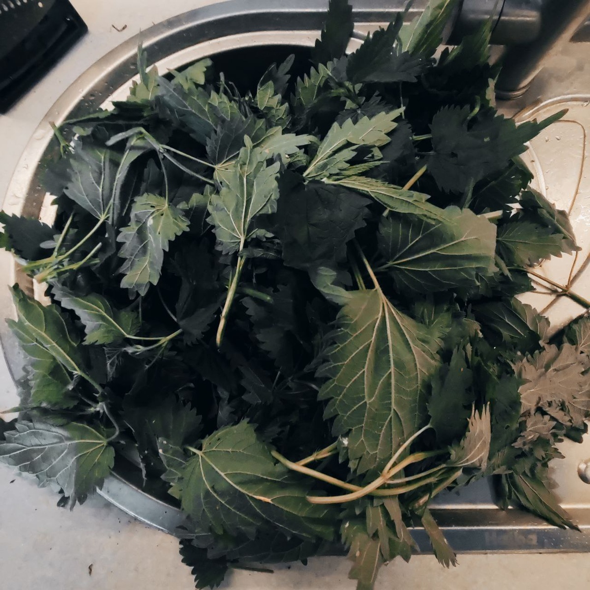 Крапивушка!!!!!