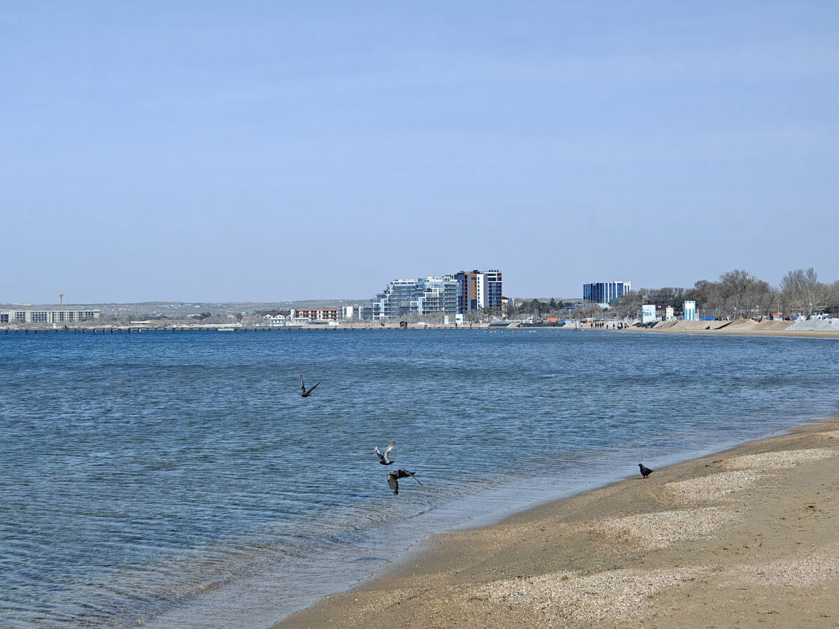    Фото: Юрий Серебренников/BFM Кубань