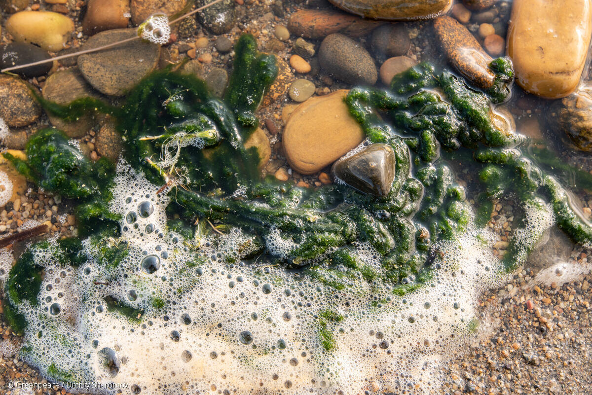 Фото © Дмитрий Шаромов / Земля касается каждого