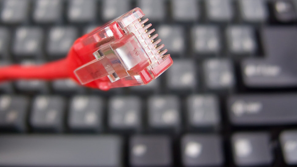 Фото: Олег Харсеев / Коммерсантъ