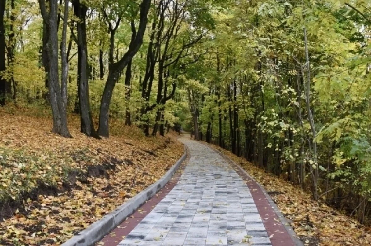    На Тропе здоровья в Пензе планируют сделать лестницу к частному сектору