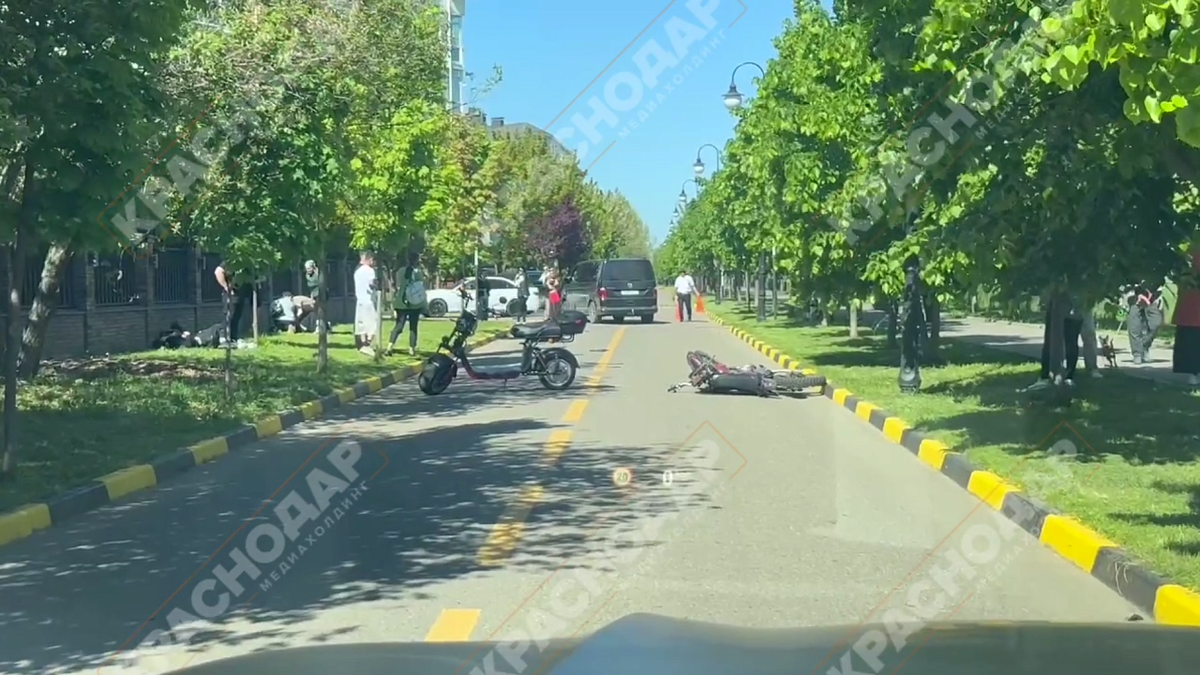    Фото: телеканал «Краснодар»