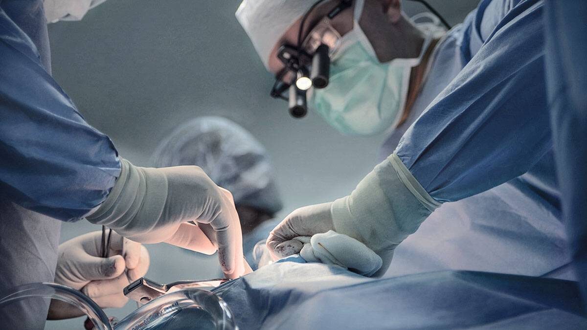    Фото: Shutterstock