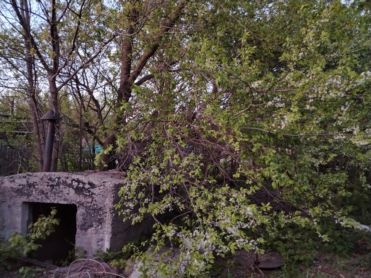 Погреб на участке Второго дома, нуждающихся в ремонте. 