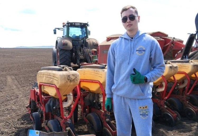    На демучастках гибридов подсолнечника в ООО ОПХ «Луч» использовали 3 технологии высева