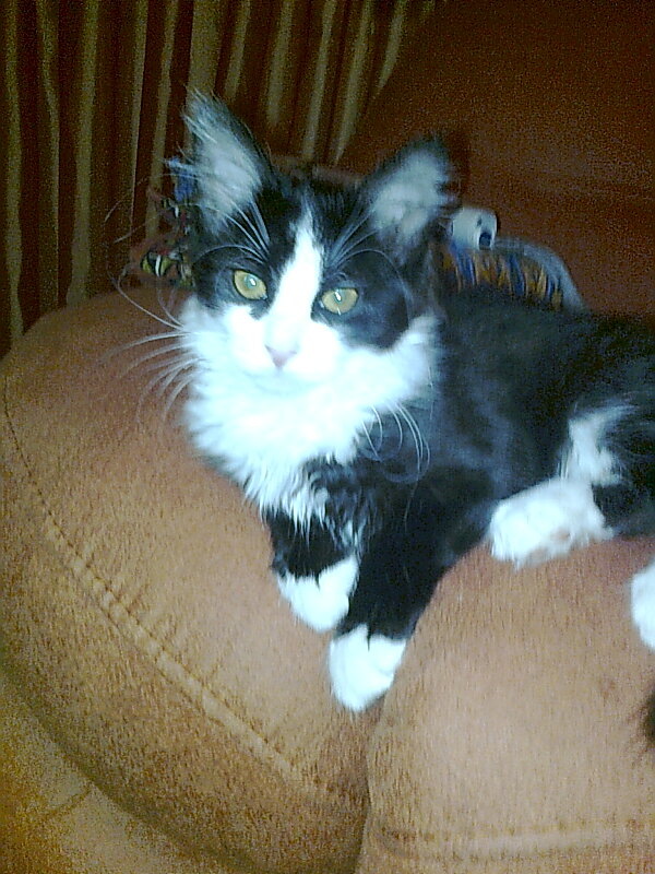 Фире 3 месяца