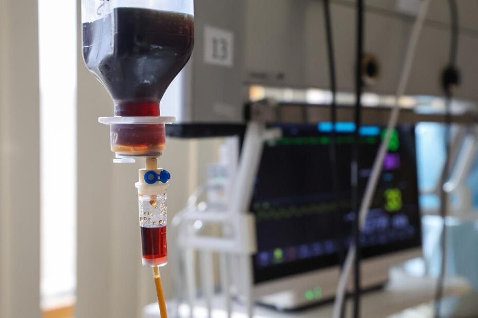    Алексей Белкин/NEWS.ru