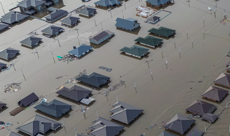    Источник: EPA/ТАСС/STRINGER