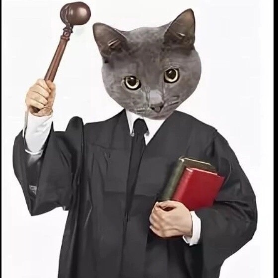 Когда твое мнение - закон