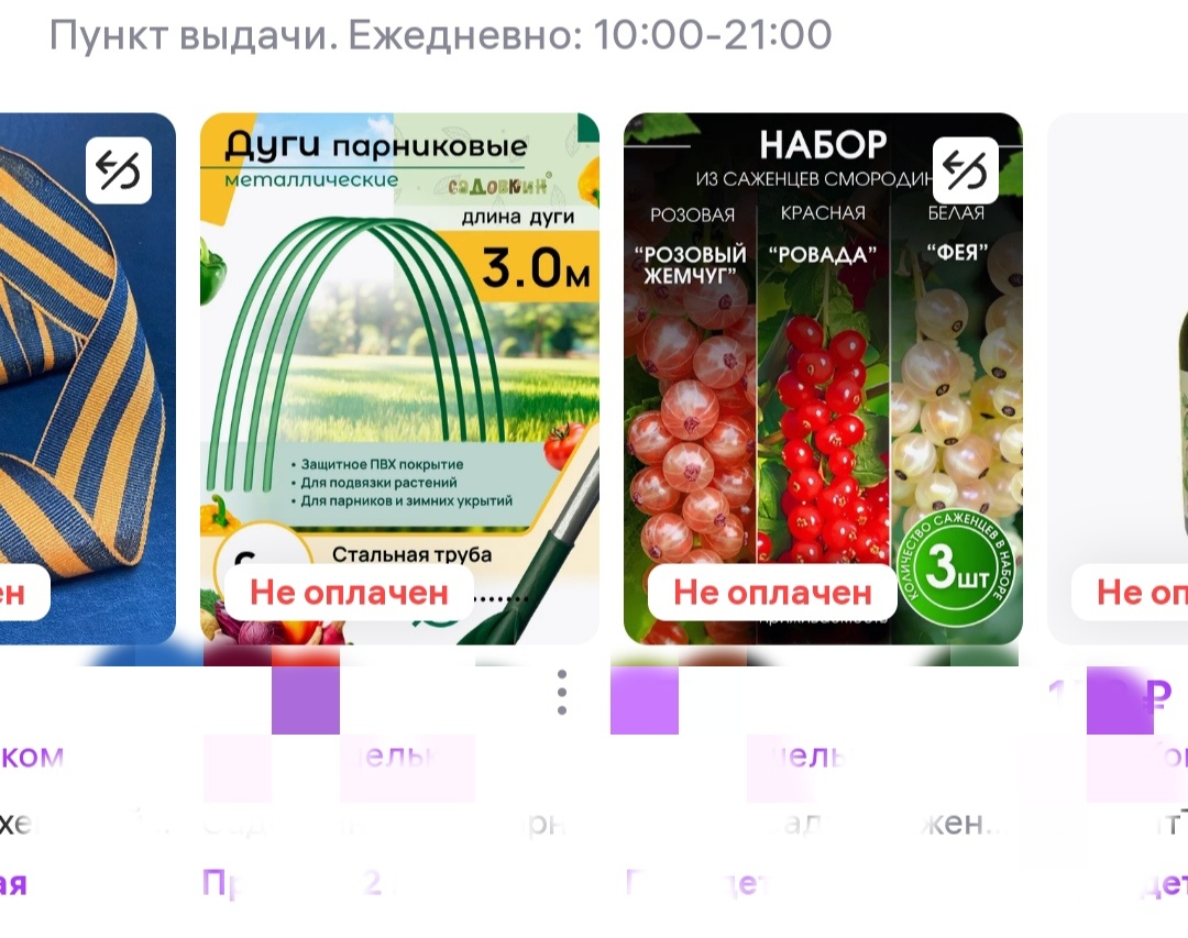 Дуги и смородина 