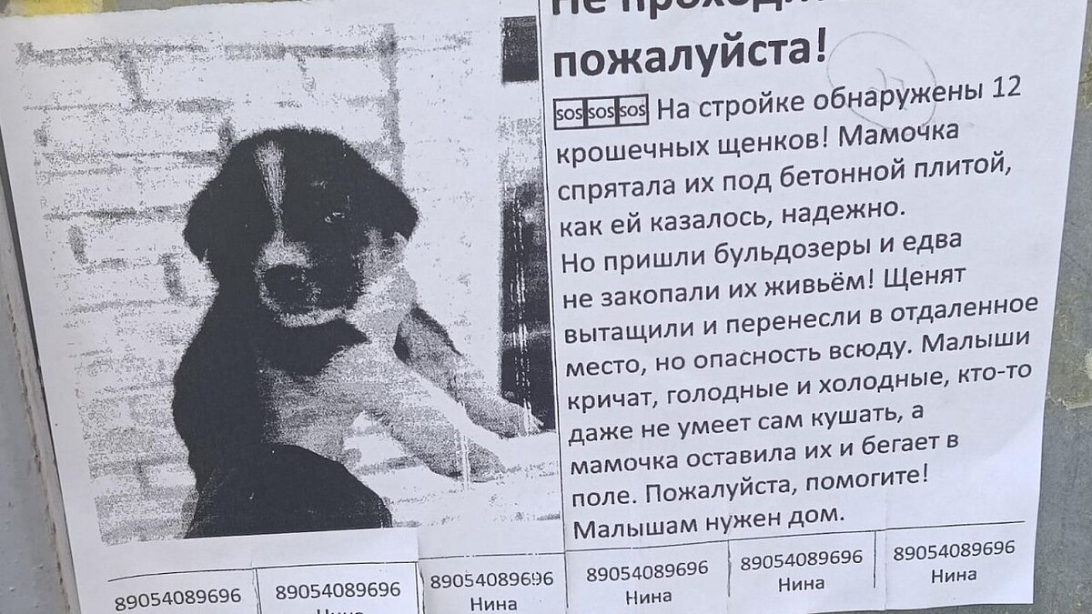    Фото: телеканал «Краснодар»