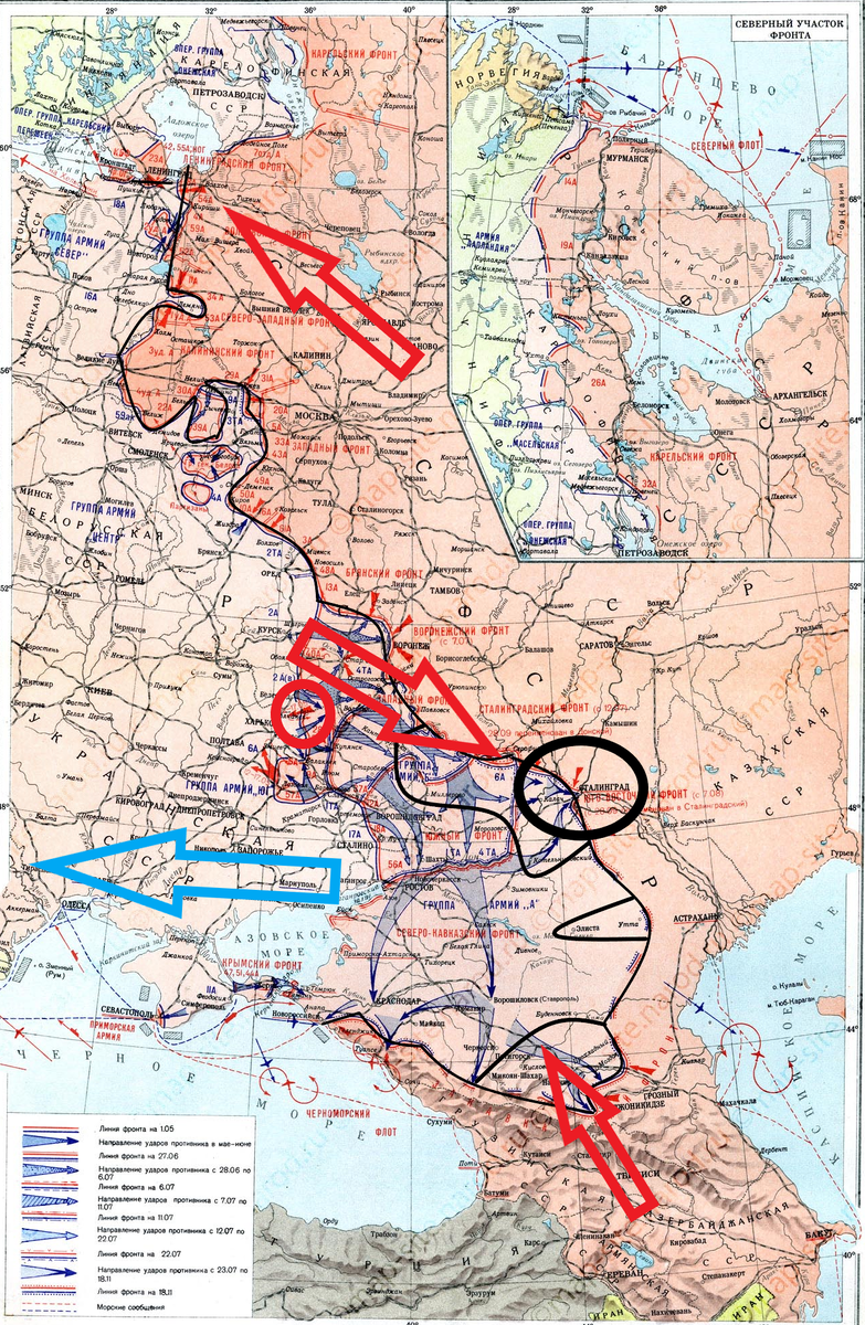 (Фото взято из открытых источников).