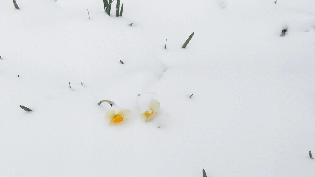    Фото: Dmitry Chasovitin/Global Look Press