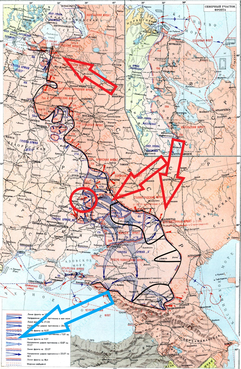 (Фото взято из открытых источников).