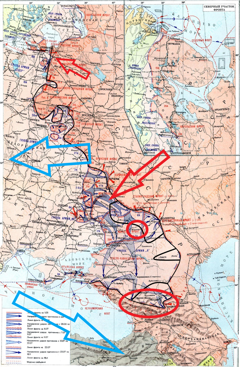 (Фото взято из открытых источников).