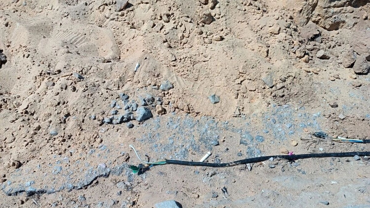     Источник: novostivolgograda.ru