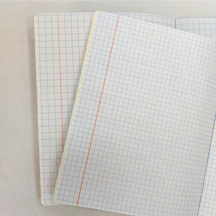 Тетрадь с крупной и обычной клеткой 