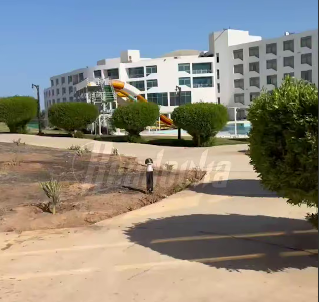 Скриншот видео телеграм-канал Readovka