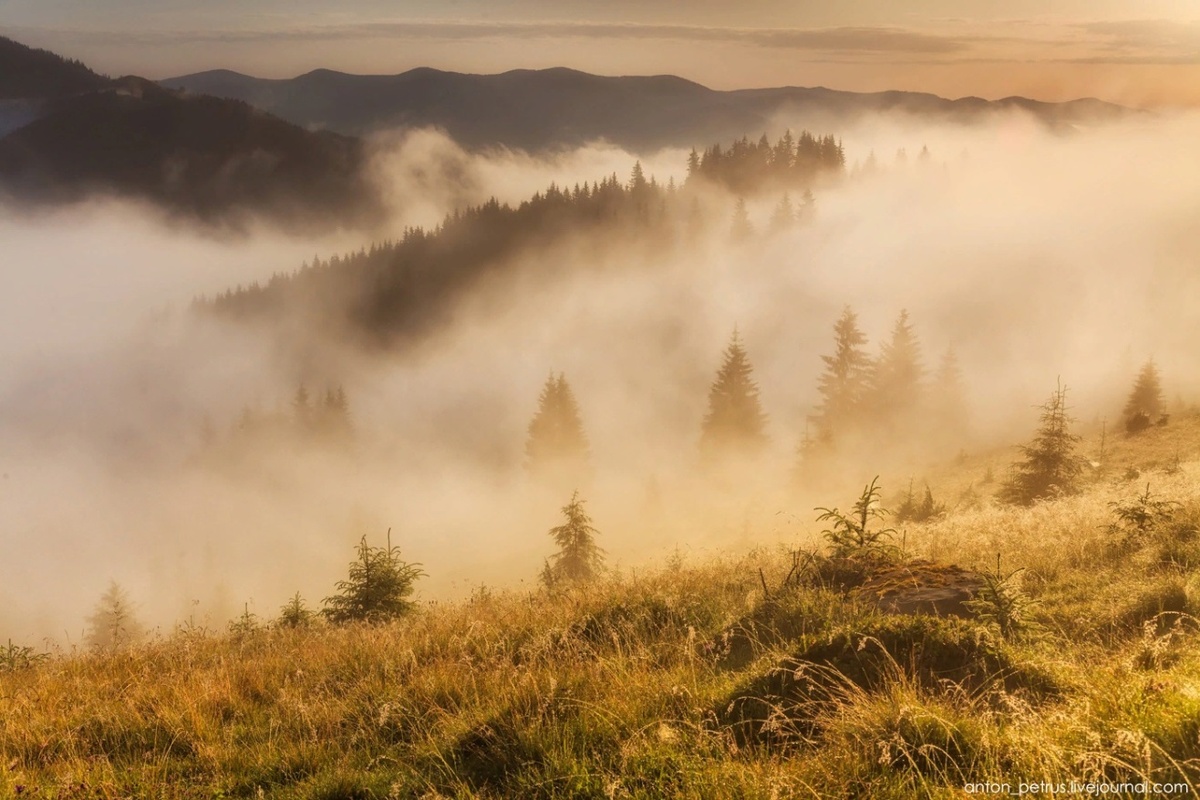 Погружение в растворение