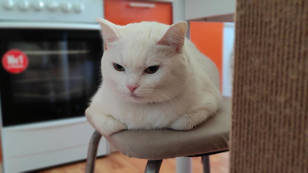 Сегодня совсем не то, что вчера, а завтра надо бы подумать о послезавтра